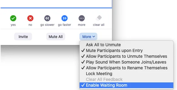 Zoom in-meeting More menu with Enable Waiting Room checked